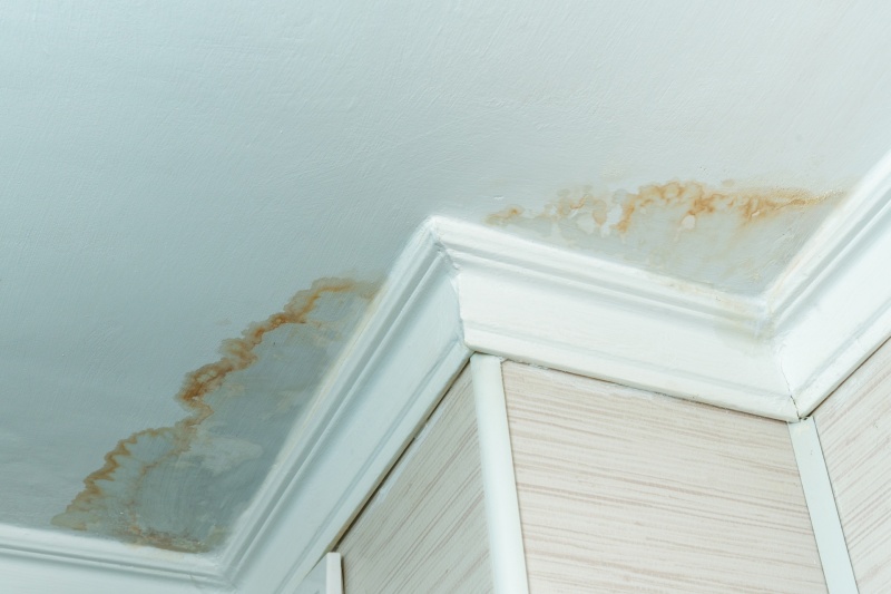 Water stains on a ceiling indicating a roof leak.